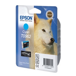 Epson T096340 