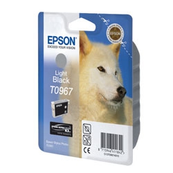  Epson T096740 