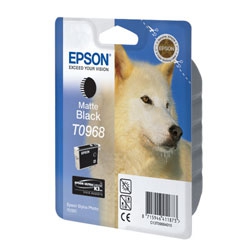  Epson T096840 